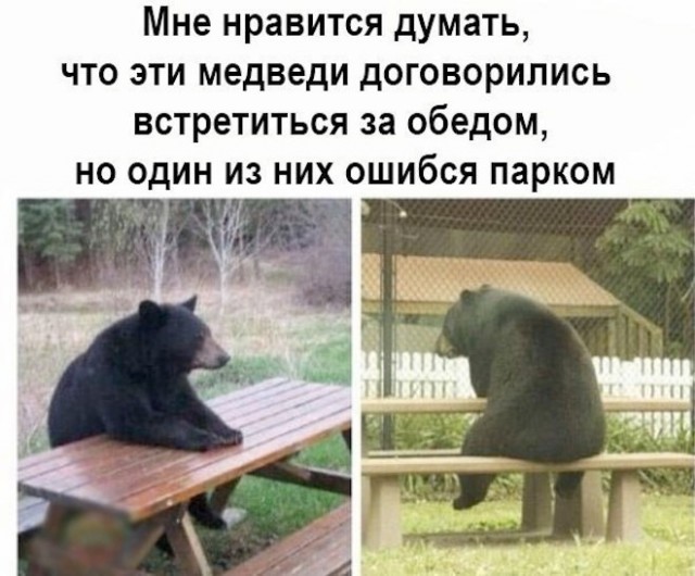 Веселые картинки в маленькую пятницу (17.12)