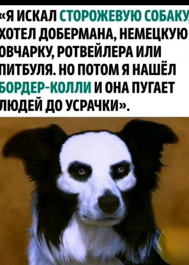 Веселые картинки в пятницу (15.05)