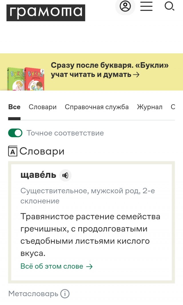 Россияне массово уплетают крапивные чипсы