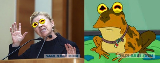 Елена Мизулина намерена запретить...