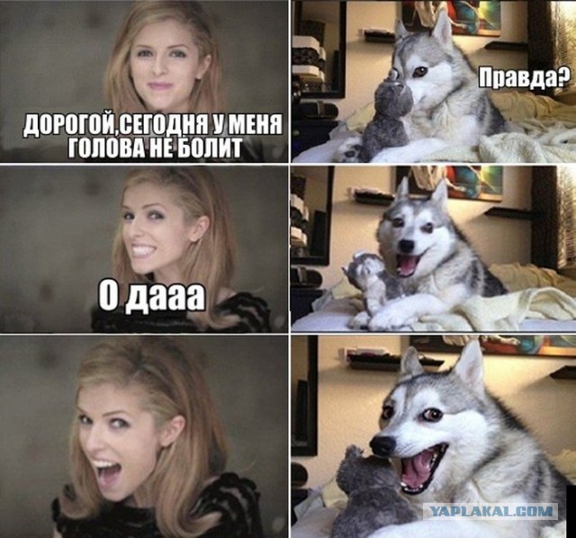 Весёлые картинки. Разбавим будни