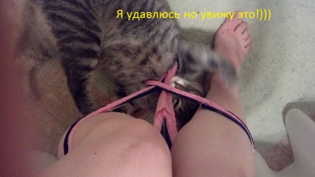 Очередная подборка коментов