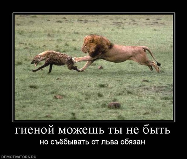 Демотиваторов пост, добавляйте свои