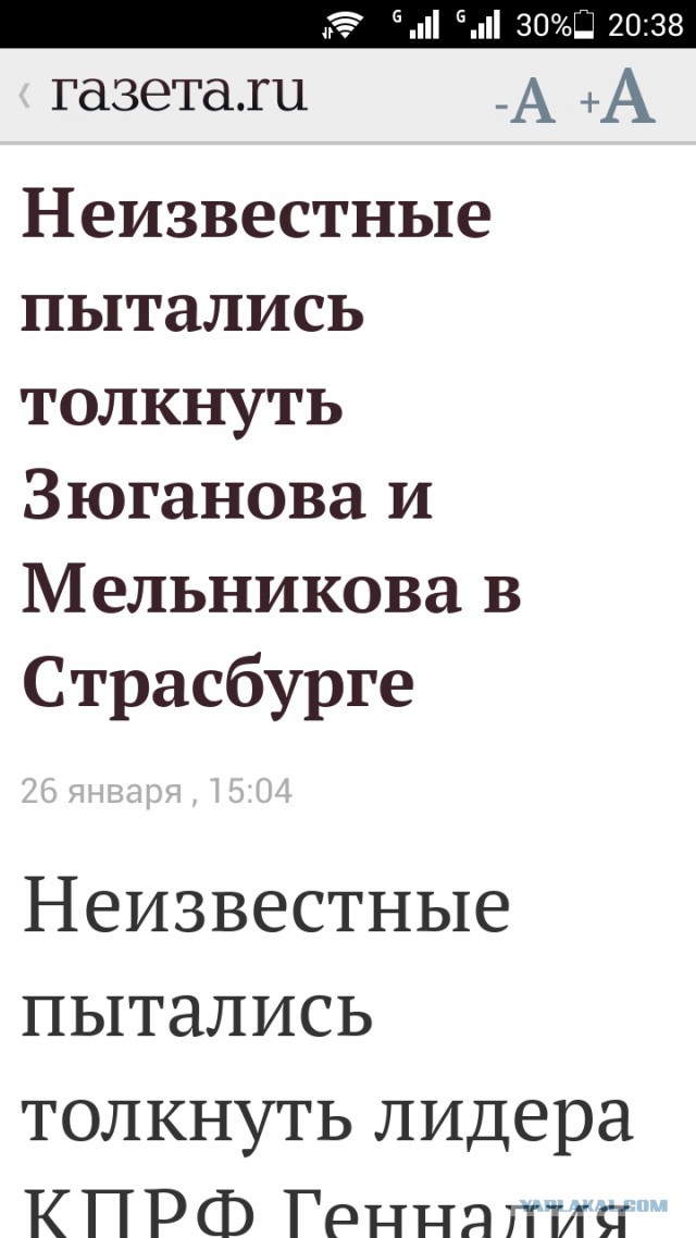 В Страсбурге украинский депутат избил Зюганова