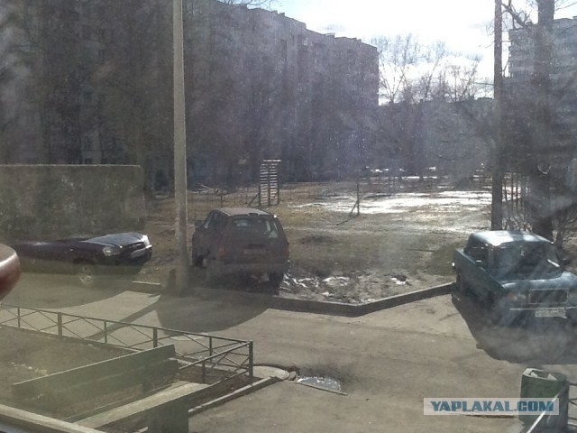 Собачники