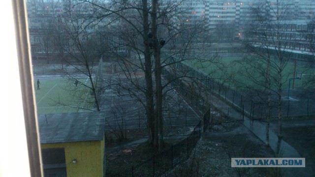 Весна