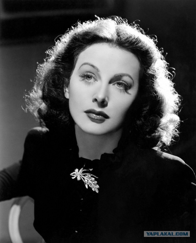 Актриса, без которой не работал бы Wi-Fi