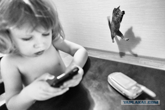 Котовторник   02.06.2015