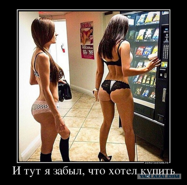 Подборка картинок из соцсетей