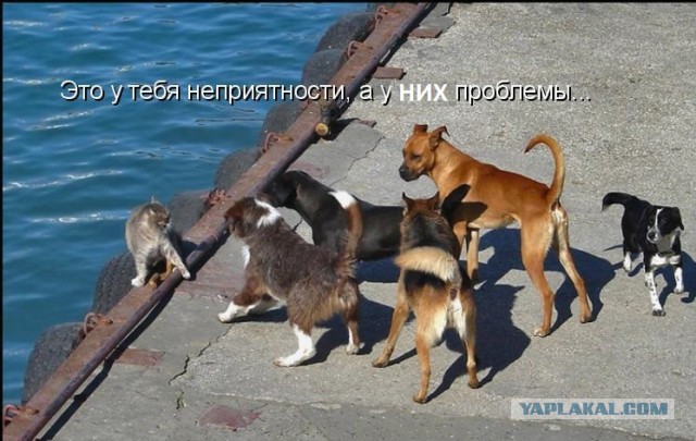 Неприятности случаются 2
