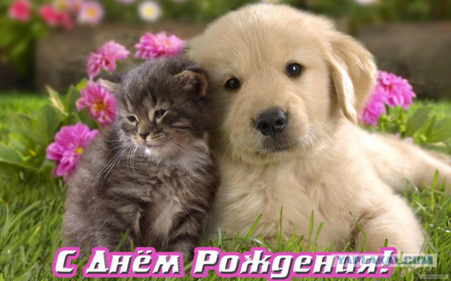 Когда кто-то плюсует твой заминусованый пост