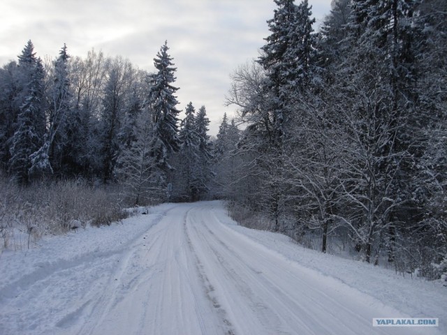 Ледяная зима