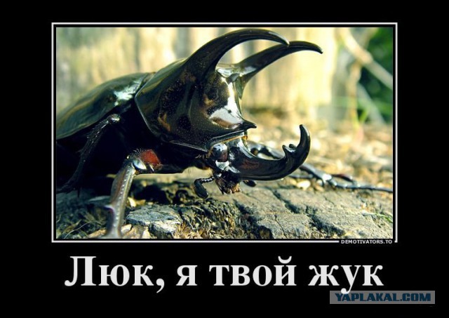 Картинки по теме Звездных Войн