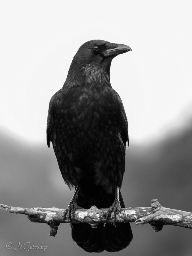 Подборка картинок 29.03.16