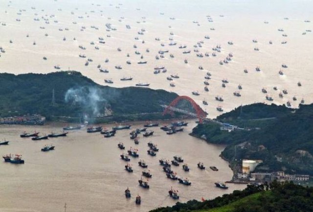 Веселые и интересные картинки