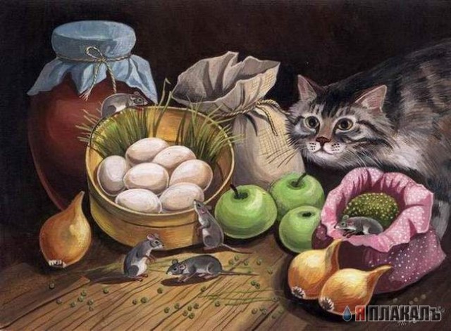 Вторничный котомёт