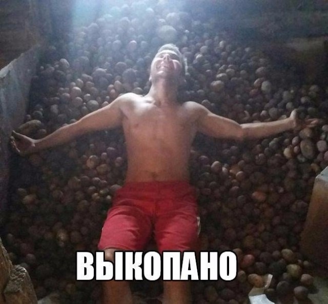 Картинки из сети