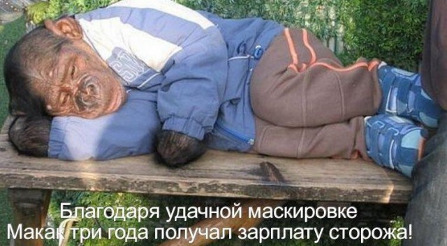 Алкогольный юмор 18+