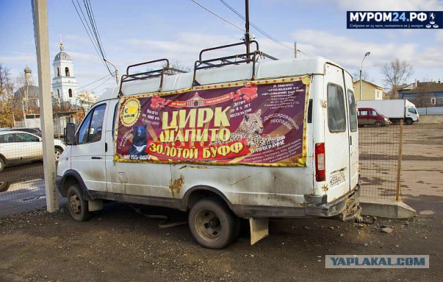 Цирковой садизм - пожизненная пыточная