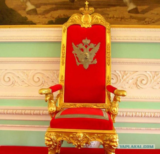 Откуда столько тупых?