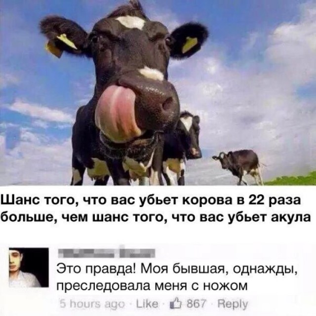 Смешные комментарии из социальных сетей 28.04.2017