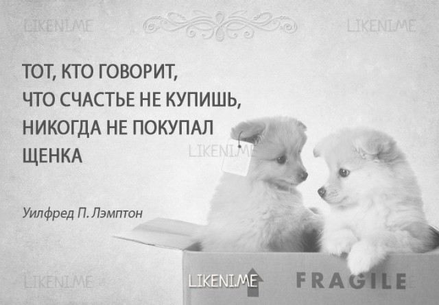 Пёс
