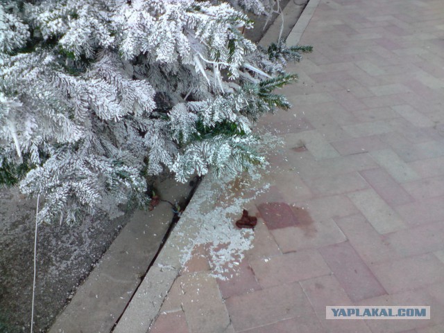 Горнолыжная поездка в Австрию (фотоотчет)