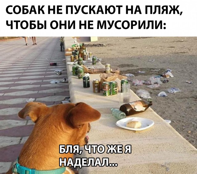 Прикольные картинки абавсём