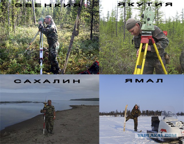 Командировка. В леса