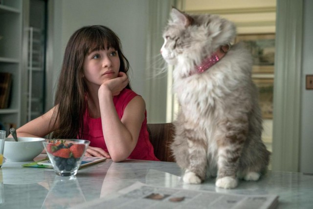 Художник из России представил, что будет, если актёров в известных фильмах заменить котами