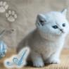 Аватары на заказ
