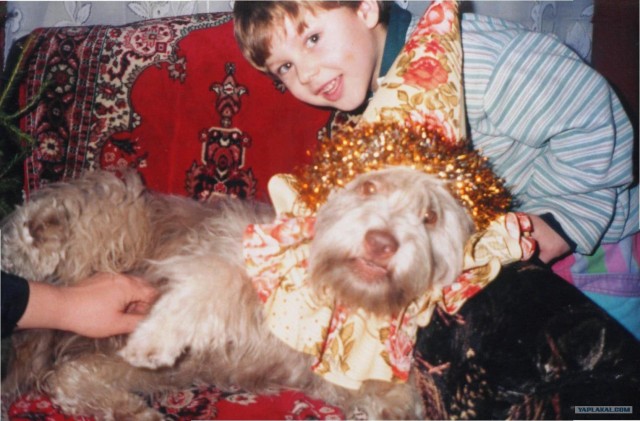 Новый тренд