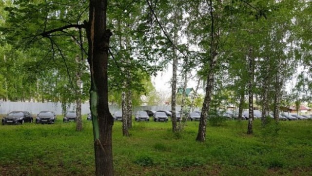 В челябинском лесу нашли десятки новых правительственных Toyota Camry