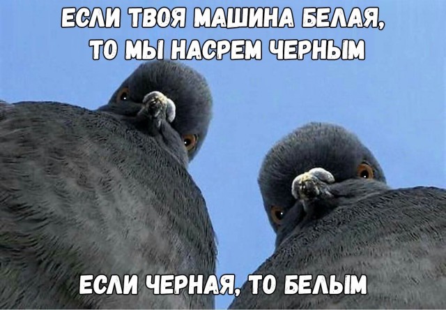 *овно-вопрос