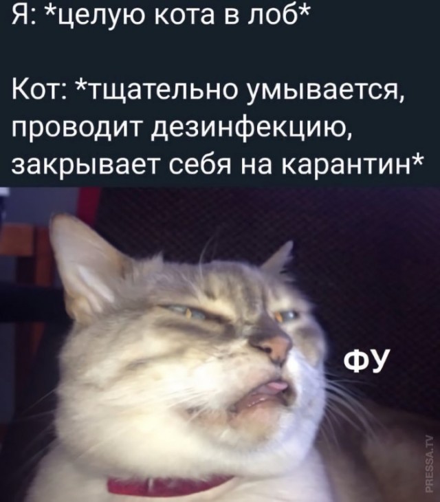 Немного картинок для настроения 02.11.20