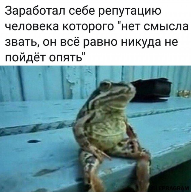 Сотня картинок для настроения 25.12.2020