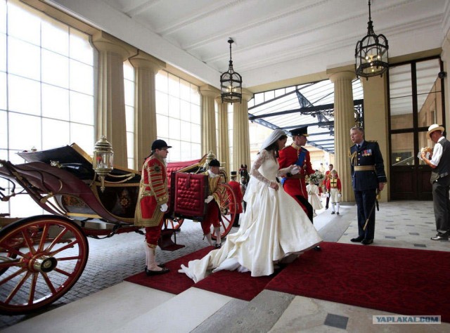 Фотожаба: бутерброд