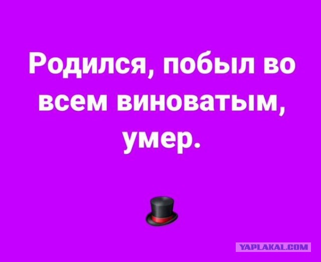 Так себе картинки 13.04.21