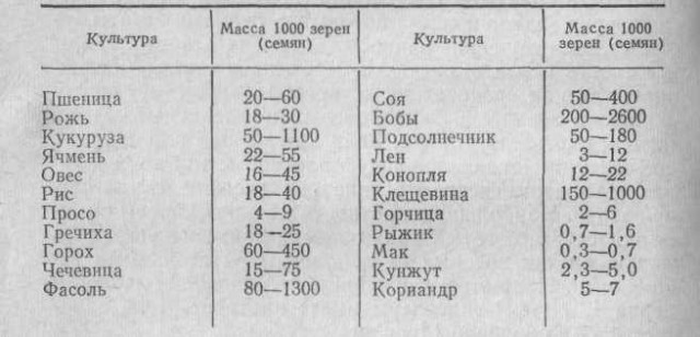 Весёлый полтишок 4.07