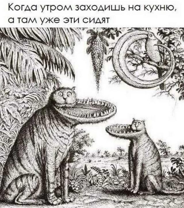 Картинки и мемы для настроения 26.08.2021