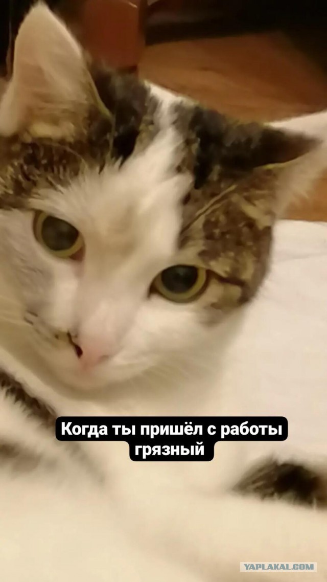 Ну, понеслась!