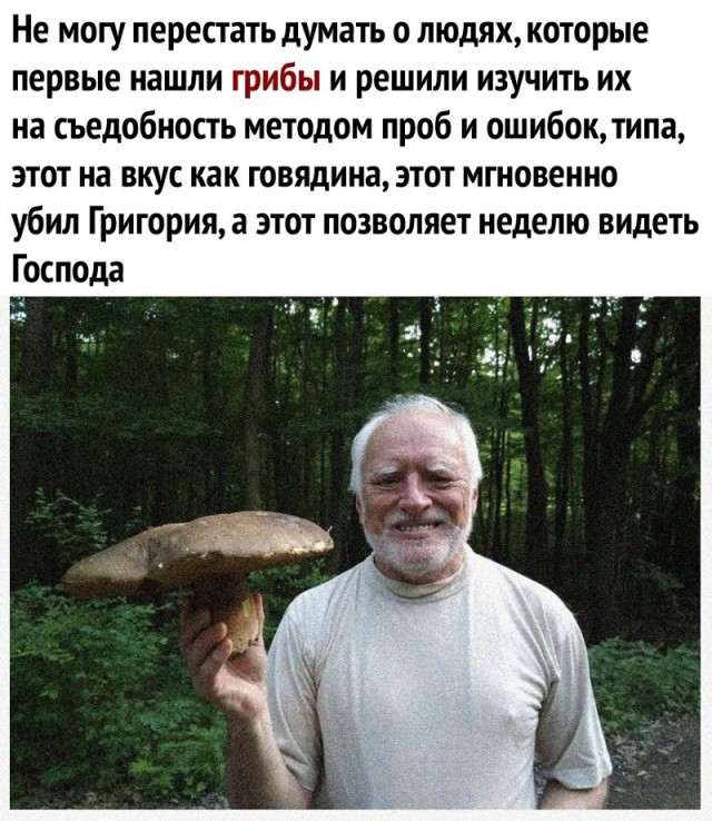 Пятница вступает в свои права