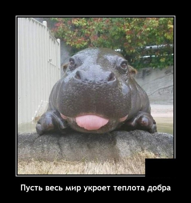 Прикольные и просто красивые картинки 31.01.2022