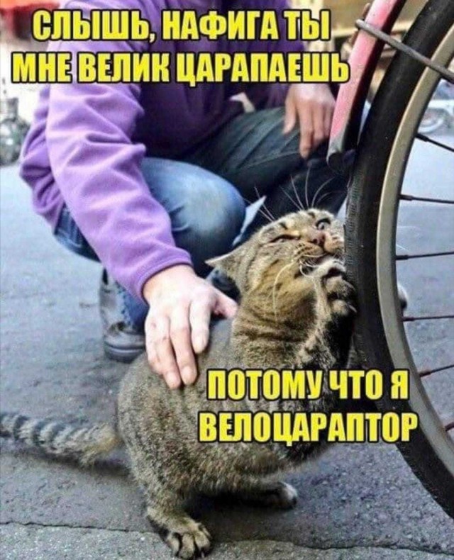 Учёные считают, что на экзопланетах могут существовать гуманоиды похожие на людей