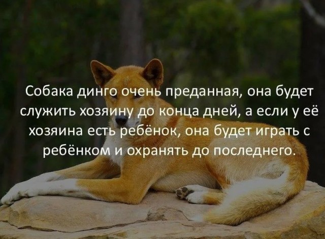 70 удивительных фактов