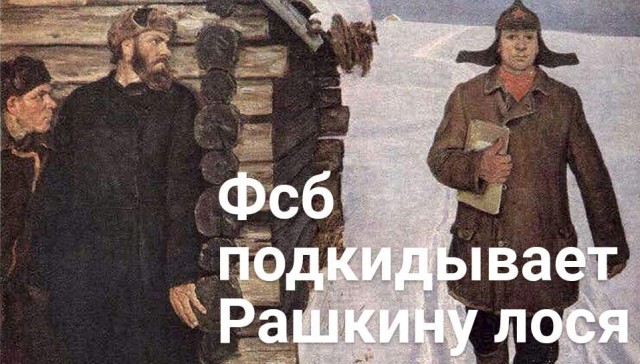 Рашкин попросил правительство РФ заставить Саратовскую область принять купленного им лося взамен убитого