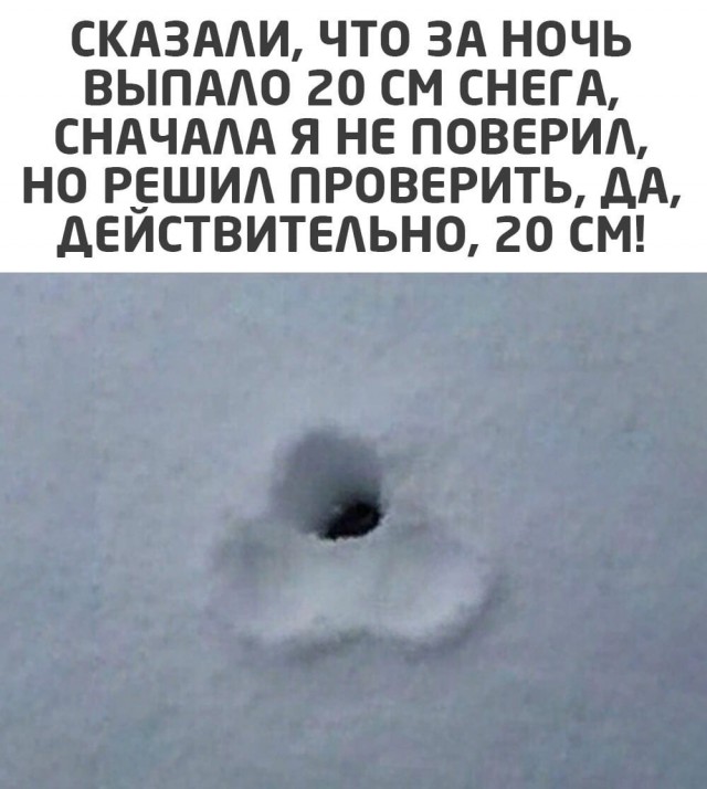 Чёрно-пошлая деградация на вторник