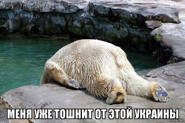 В Испании украинский повар напал на хозяев кафе из России