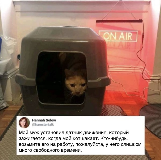 Так себе картинки 15.05.22