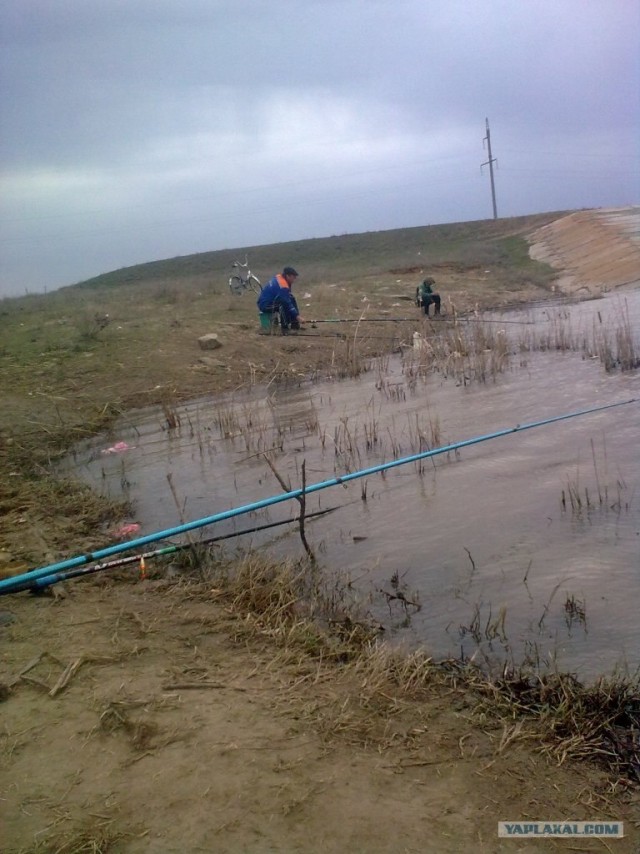 Рыбалка 2012. Открытие сезона.